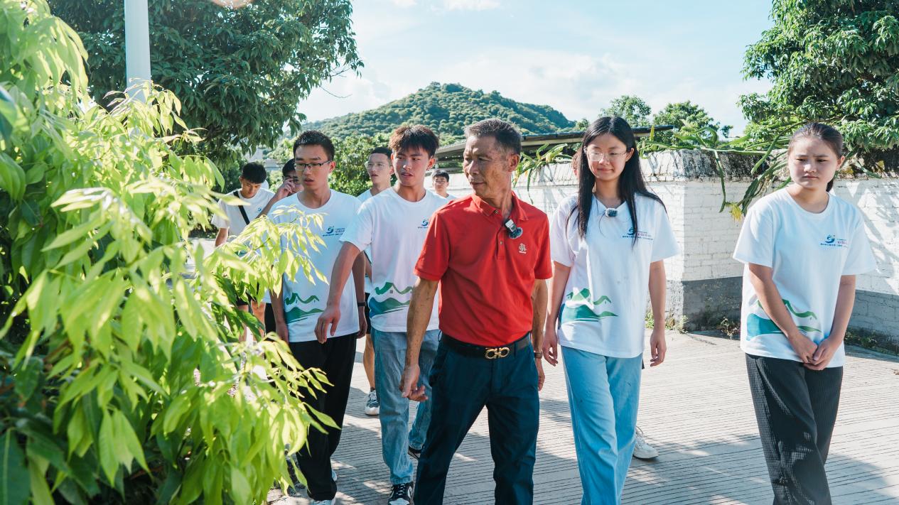 民宿荔共富|民宿電商齊頭并進，荔枝產業(yè)引領共富新篇章 ——老張的新時代致富路