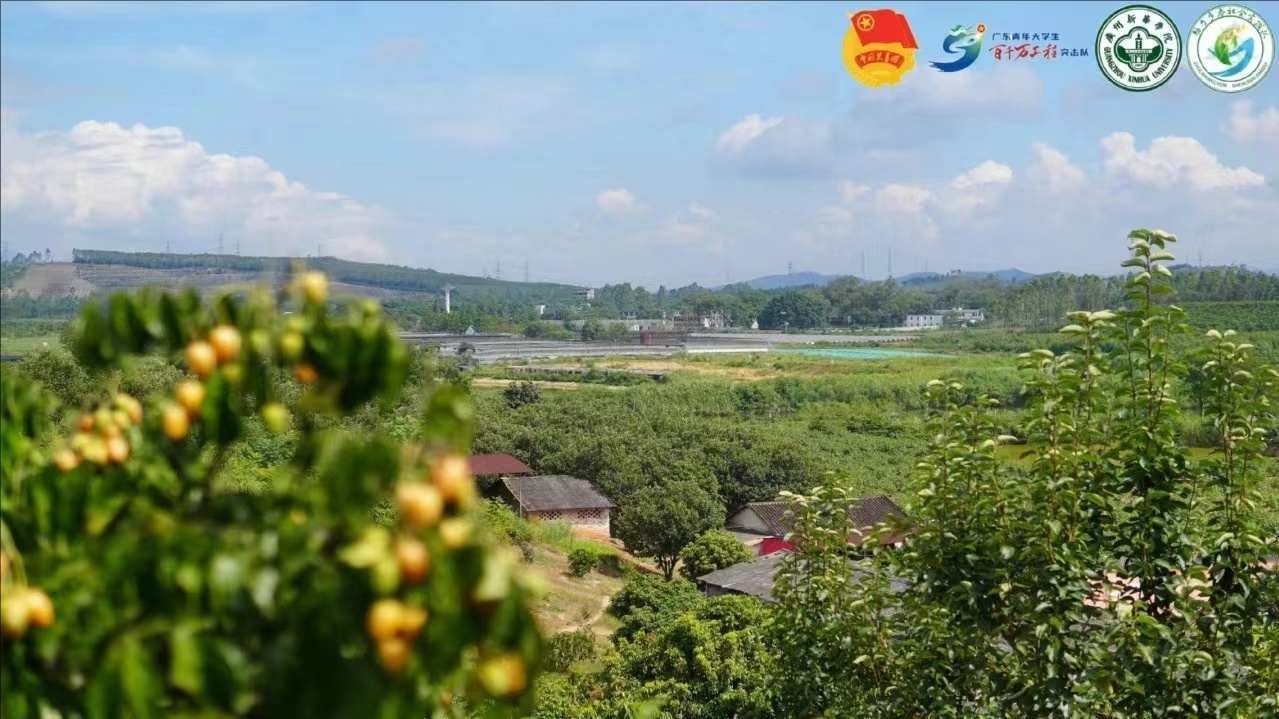 【百千萬工程 — 助力鄉(xiāng)春】果香滿園迎賓至，什石園村展新顏