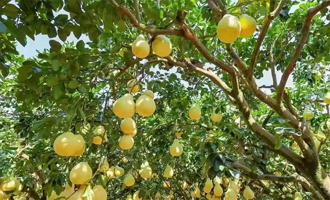 “一布一情萬布傳愛”——寒假社會(huì)實(shí)踐宣傳稿