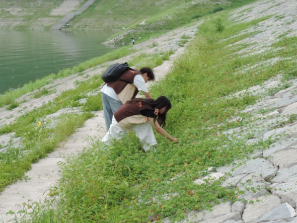 青春力量護航長江生態(tài) 武漢東湖學(xué)院學(xué)子赴秨歸開展多維實踐行動