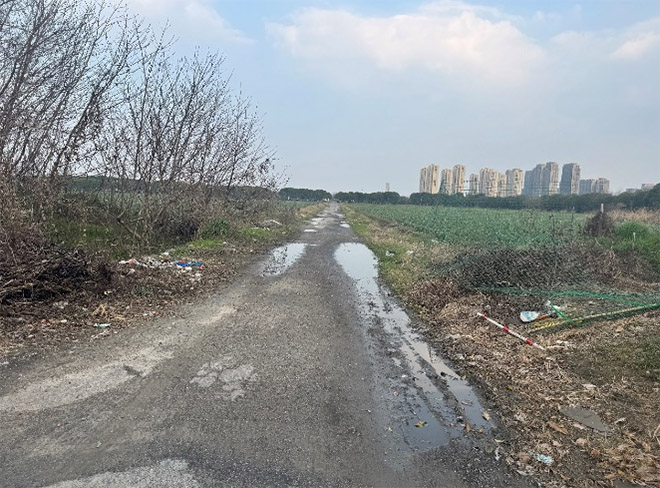 浙江財經(jīng)大學青年調(diào)研團：用腳步丈量農(nóng)村公路，為鄉(xiāng)村振興鋪就“交通末梢”