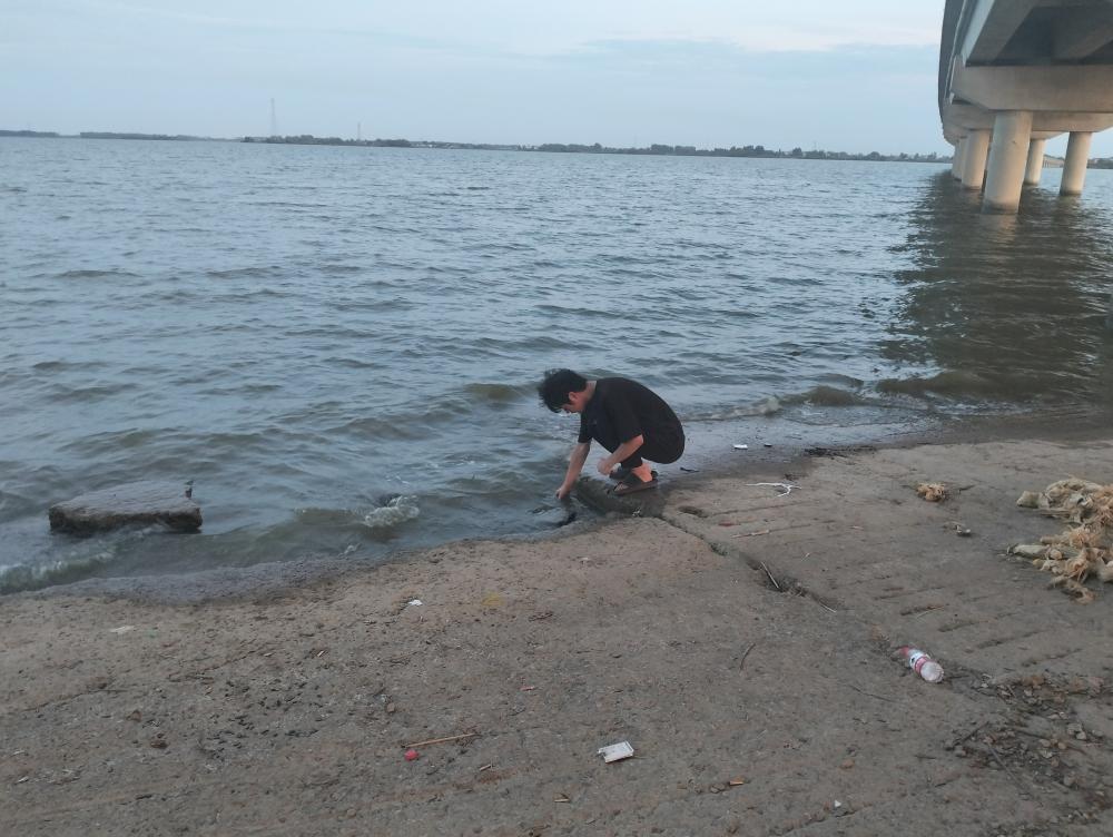 為家鄉(xiāng)水質(zhì)把脈：社會(huì)實(shí)踐活動(dòng)總結(jié)報(bào)告