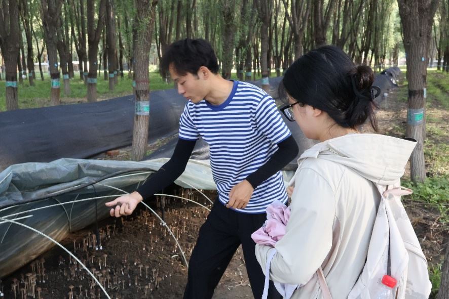青言綠意繪生態(tài)，慈心實(shí)踐探蘆村