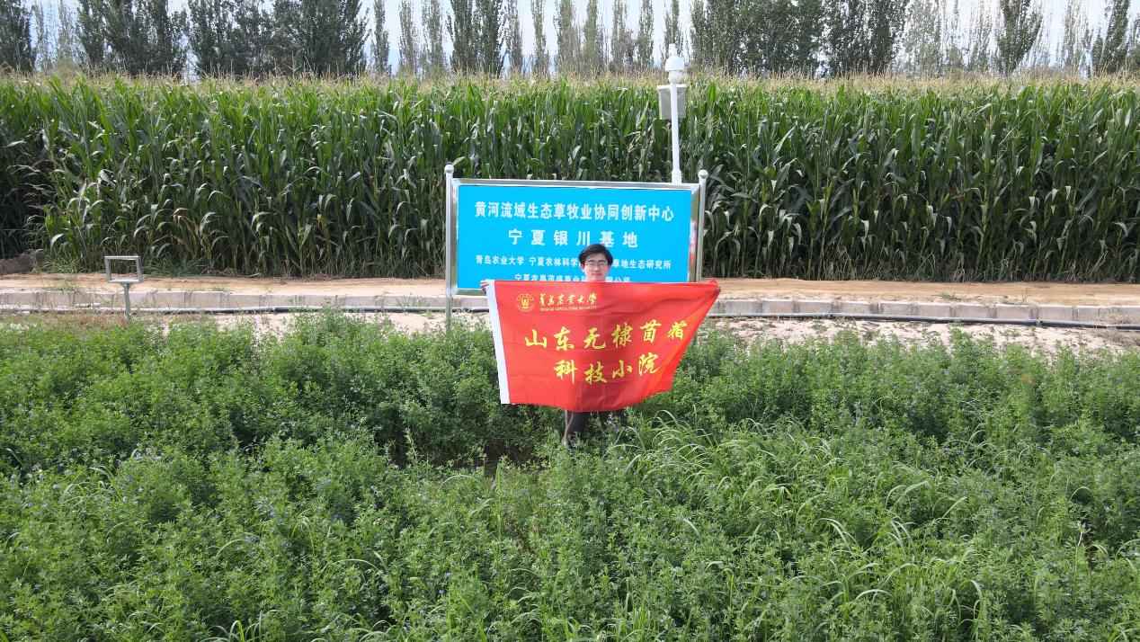 銀川草原上的科研足跡：青島農(nóng)大草業(yè)學(xué)院團(tuán)隊(duì)調(diào)研紀(jì)實(shí)