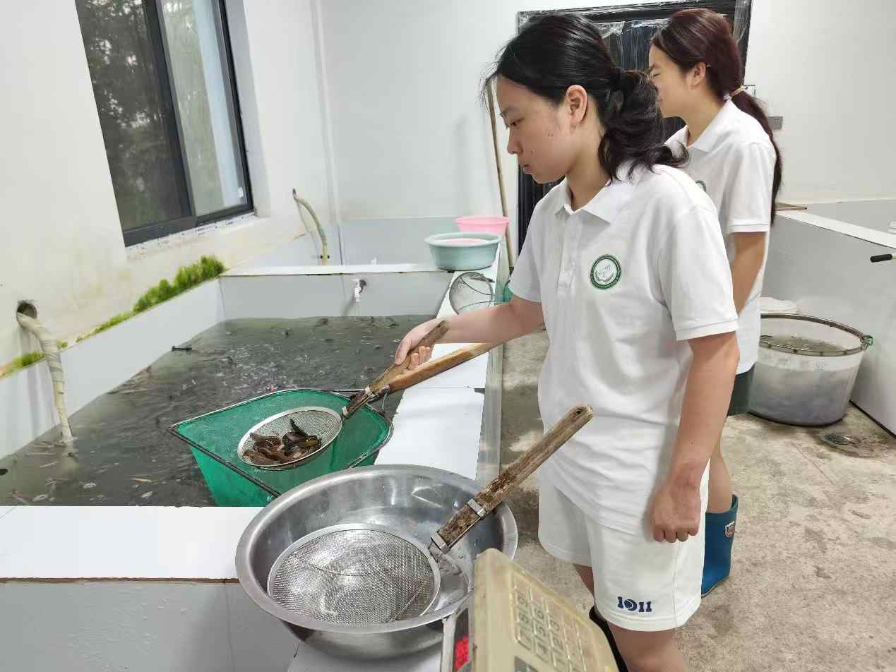 “踐生態(tài)理念，護南方朱鹮”大學(xué)生社會實踐團前往湖州市德清縣進行朱鹮日常飼養(yǎng)學(xué)習(xí)