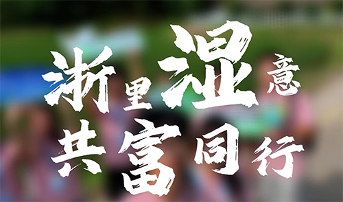 青春力量“潮”向濕地共富！公管學(xué)子奔赴青山綠水，解碼生態(tài)富民新路徑