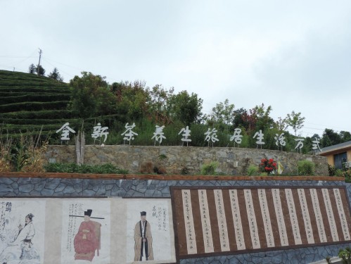 水田壩鄉(xiāng)茶旅新村：茶旅融合繪就鄉(xiāng)村振興新畫卷