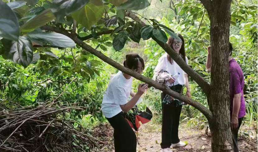 煙臺(tái)大學(xué)：文旅賦能果業(yè)，共促現(xiàn)鄉(xiāng)村振興