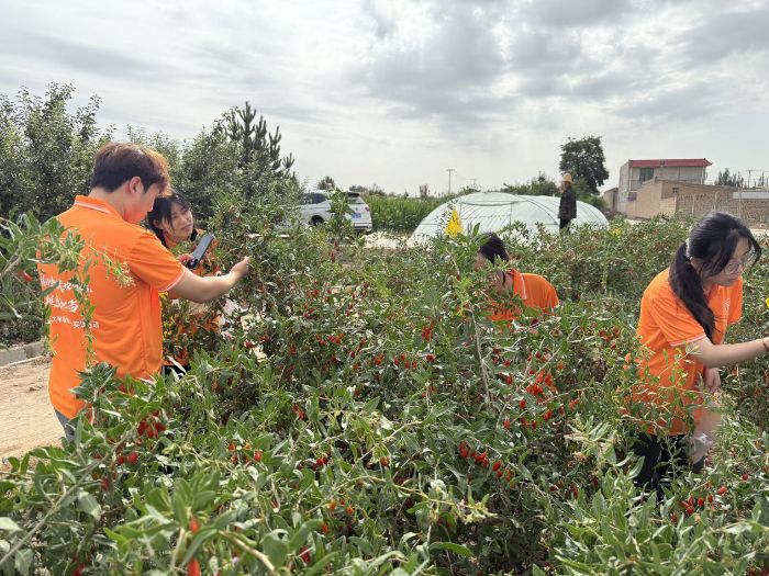 蘭州理工大學(xué)“紅耀興農(nóng)先鋒隊(duì)”暑期實(shí)踐團(tuán)隊(duì)赴靖遠(yuǎn)縣開展特色農(nóng)業(yè)調(diào)研