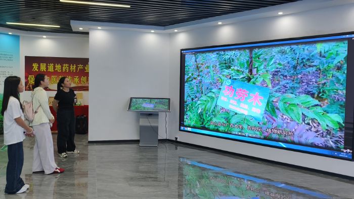 圖為十大功勞木示范區(qū)負(fù)責(zé)人通過智慧大屏為團隊成員介紹基地情況  張君 供圖