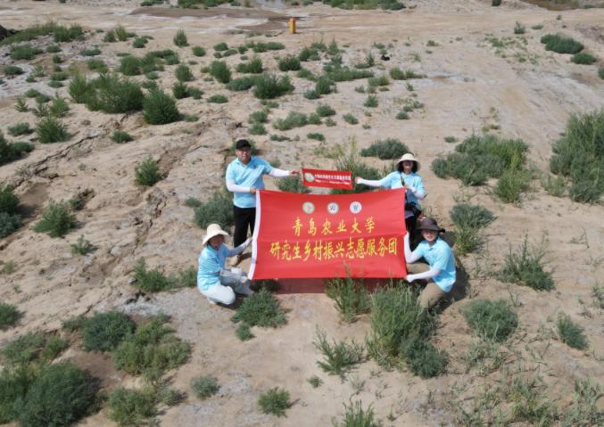 深入東營鹽堿地、探索生態(tài)改良新方案