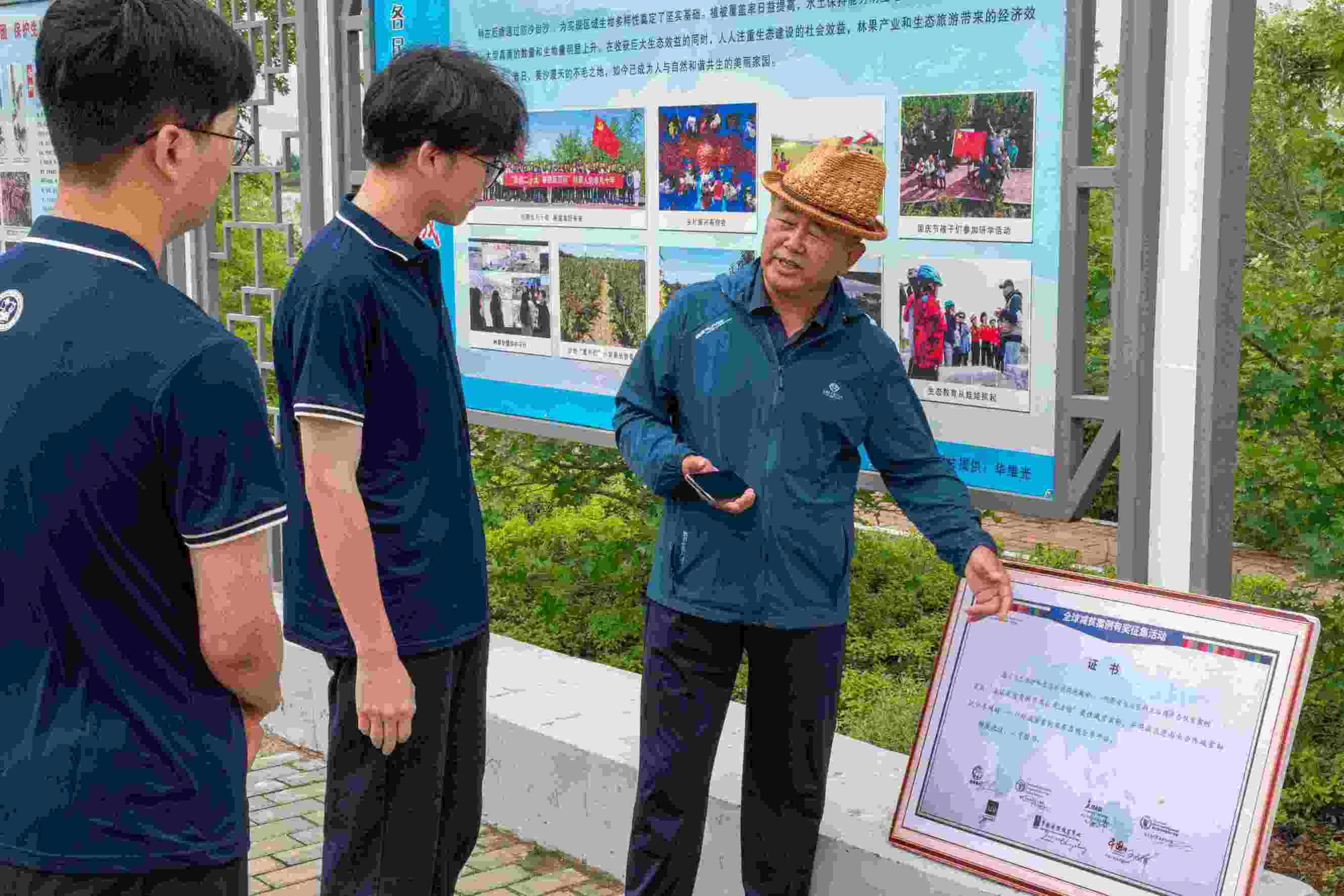 探秘深栽淺埋植樹技術