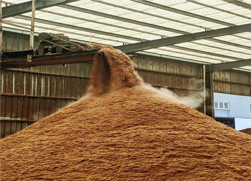 黃山學(xué)院學(xué)子三下鄉(xiāng)：《草莓基質(zhì)實(shí)驗(yàn)配比新探索》