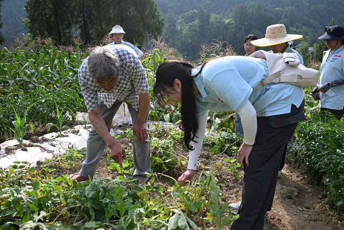 重外院學(xué)子三下鄉(xiāng)|精耕翠瓤產(chǎn)業(yè)路，青春擘畫振興圖