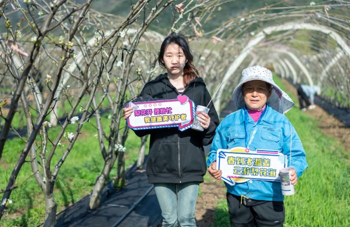 職教新銳破解“用工荒”：池州職業(yè)技術(shù)學(xué)院學(xué)子研發(fā)智能采摘機(jī)器人助力鄉(xiāng)村振興