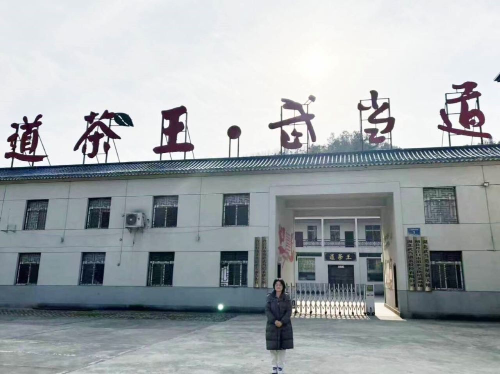 土關(guān)埡鎮(zhèn)茶葉產(chǎn)業(yè)：以融合之筆，繪就茶香新畫卷