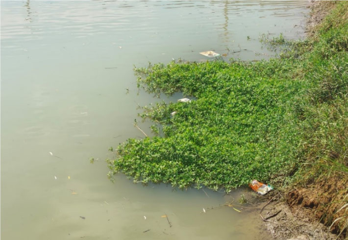 清漣行濯淖故事，幸虞衡力挽狂瀾 ——山東大學生命科學學院“虞衡”關(guān)于生