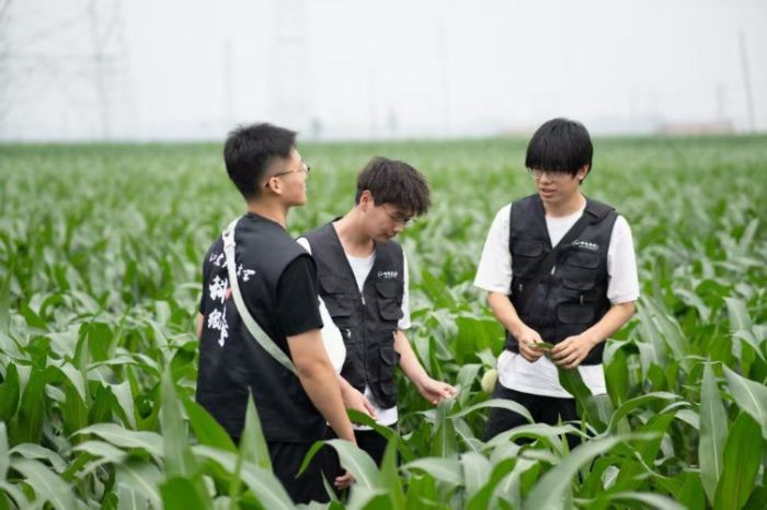 科技紙鳶實(shí)踐團(tuán)在莘縣盛屯村開(kāi)展生態(tài)監(jiān)測(cè)，共鑒鄉(xiāng)村生態(tài)活力