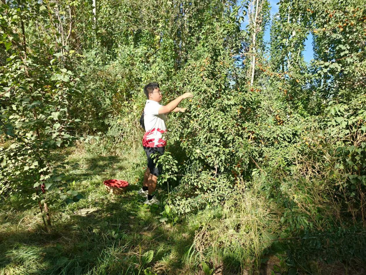 “青春力量進(jìn)果園，學(xué)思踐悟助農(nóng)興”——《青禾逐光實(shí)踐團(tuán)》