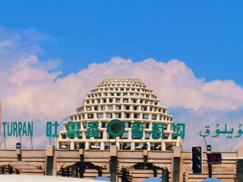 湘潭大學(xué)“三下鄉(xiāng)”實(shí)踐團(tuán)走進(jìn)吐魯番葡萄溝 探尋農(nóng)文旅融合與文化傳承