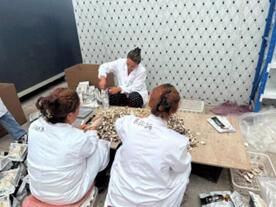 “松茸”助農(nóng)百家樂(lè)，科技創(chuàng)新萬(wàn)事欣