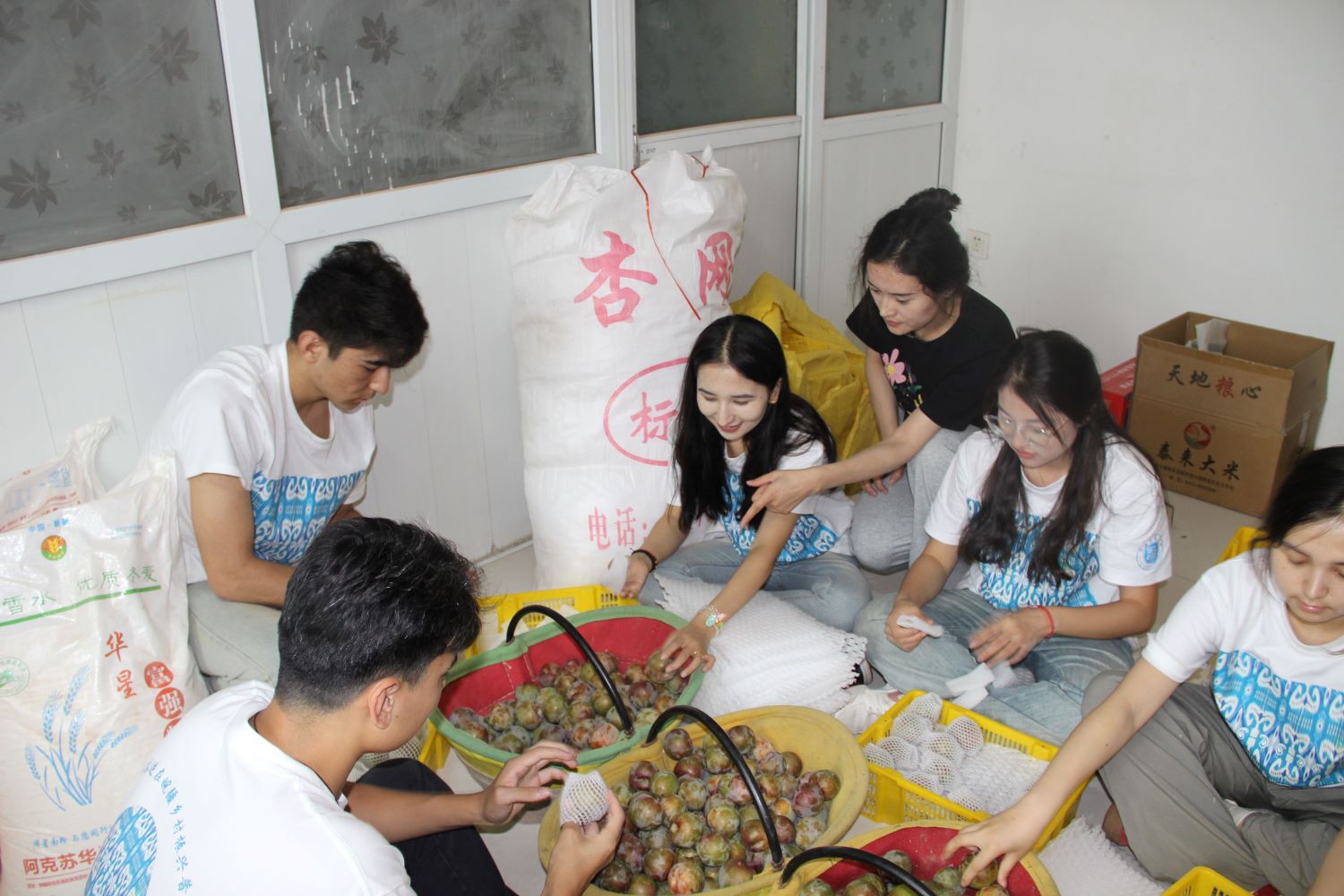 青春奮進(jìn)在皖疆，鄉(xiāng)村振興普華章