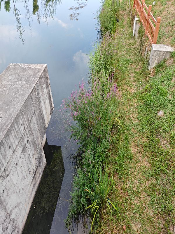 生態(tài)環(huán)保實踐：聚焦農村與縣域社區(qū)的水資源與河流污染