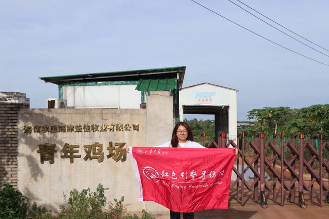 政企攜手繪振興畫卷 澄邁海津益佳牧業(yè)探索鄉(xiāng)村治理新路徑