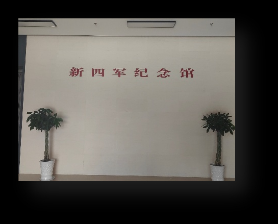 新四軍紀念館實踐活動紀實——探尋鐵軍足跡，傳承紅色基因