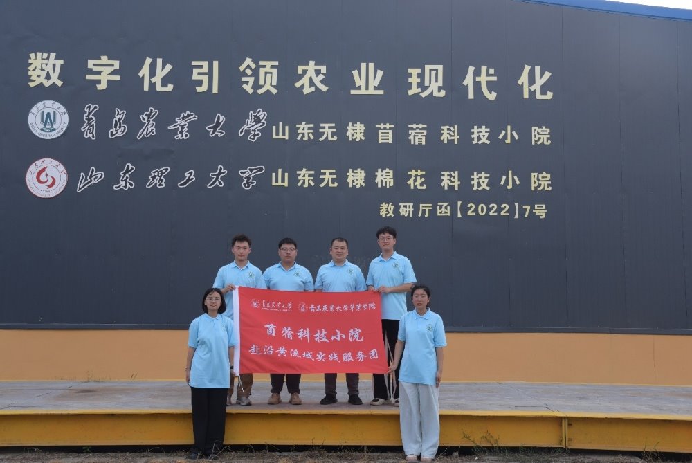 青苗涌動沿黃地，農(nóng)科青春探苜途——青島農(nóng)業(yè)大學實踐團踏訪科技小院，共繪