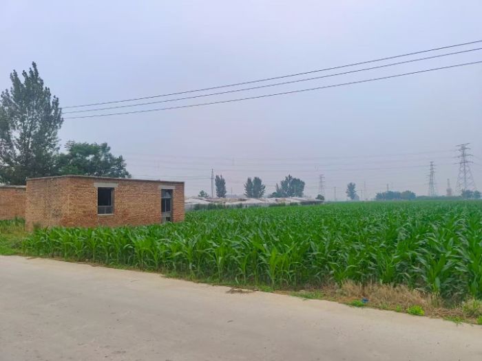 創(chuàng)飛科技實(shí)踐團(tuán)在盛屯村開(kāi)展罌粟巡檢調(diào)研，科技助力禁種鏟毒