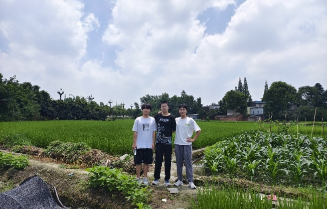 途林中，夢遠航