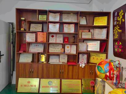 繡球魅力煥新生，四海傳揚(yáng)壯鄉(xiāng)情——廣西師大“錦繡探秘”實(shí)踐團(tuán)靖西調(diào)研