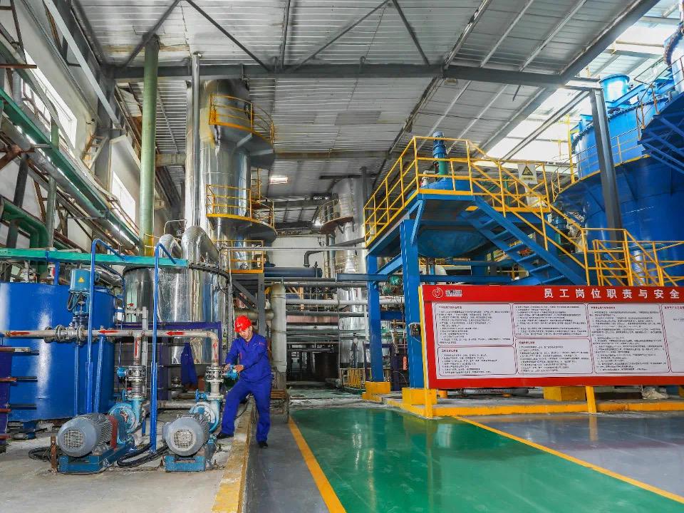 “碳凈工坊”調(diào)研團：走進(jìn)金達(dá)鈦業(yè)：探尋綠色低碳發(fā)展路徑