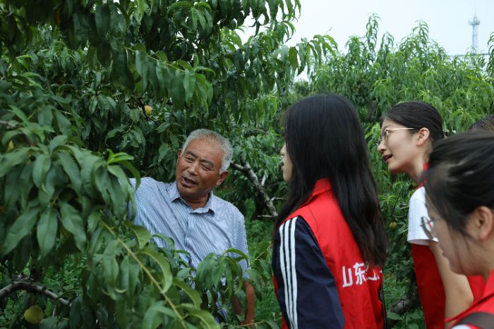 山東理工大學(xué)管理學(xué)院循“蒙”而行實踐團赴臨沂市平邑縣康泰果品種植專業(yè)合作社開展實踐調(diào)研