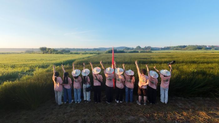 田間地頭的一萬(wàn)次熱望