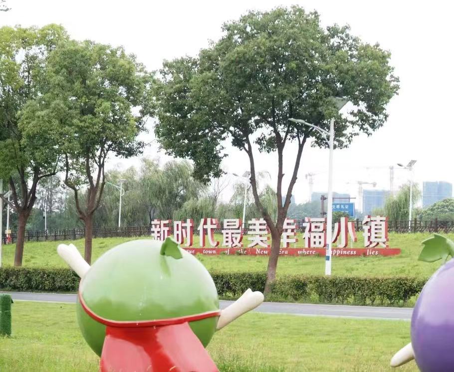 淮北師范大學(xué)“薦家鄉(xiāng)特產(chǎn)，助鄉(xiāng)村發(fā)展”實(shí)踐團(tuán)——探訪合肥市大圩鎮(zhèn)