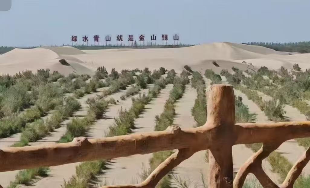 青春力量扎根邊疆 沙?？椌G共譜新篇