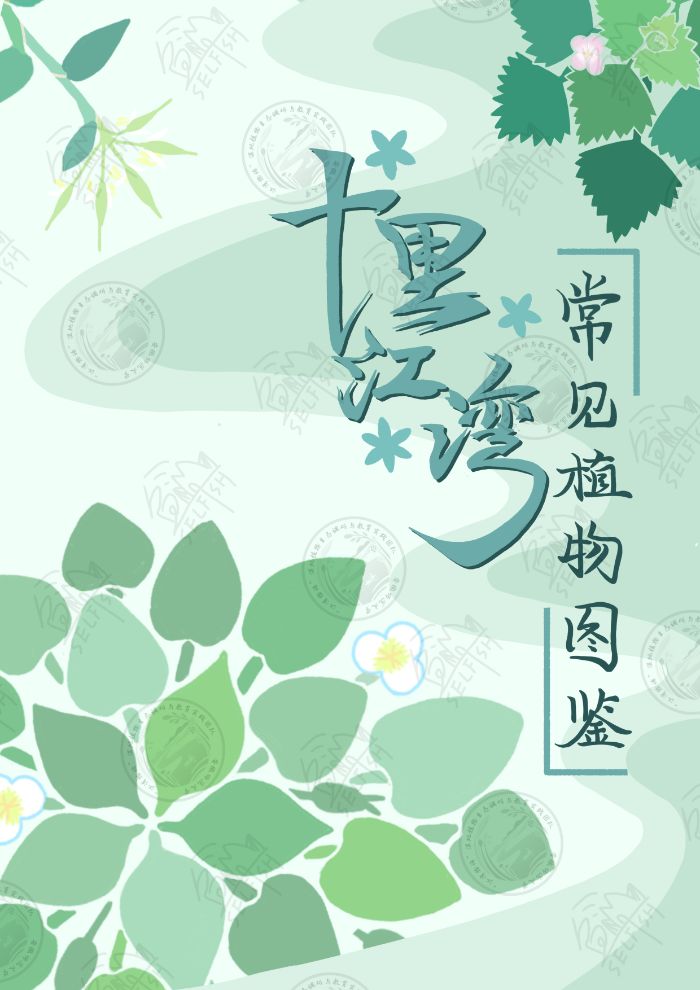 完成常見植物圖鑒優(yōu)化，科學(xué)呈現(xiàn)江灣生態(tài)之美——“江灣物語”濕地植物生態(tài)調(diào)研與教育本科生實踐團隊常見植物圖鑒成果展示