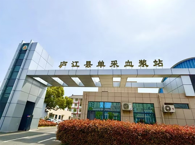 暑期實踐礪成長：淮師學(xué)子在廬江縣單采血漿站的“責(zé)任與愛心”修煉記