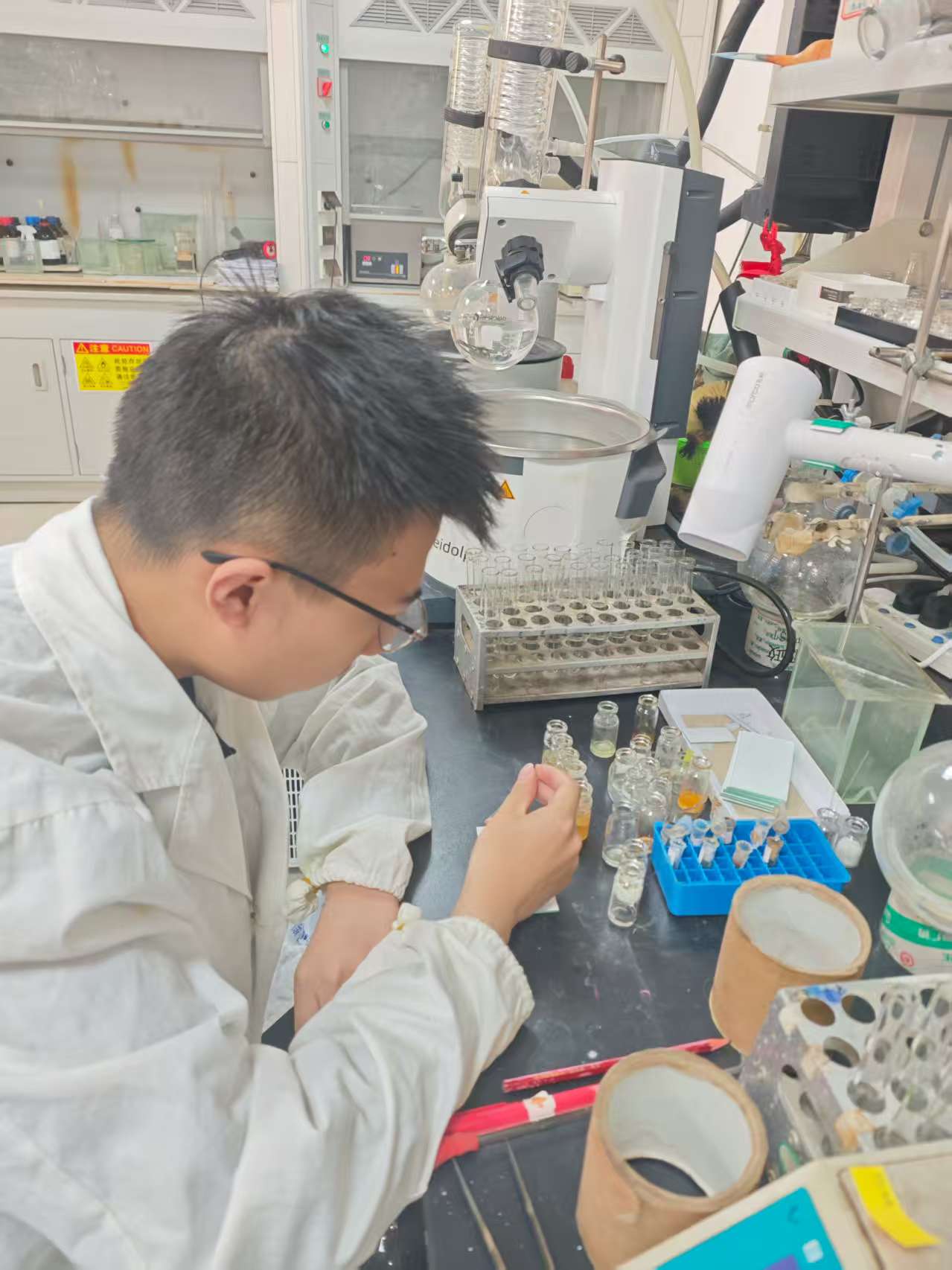 植物王國尋寶記—記暑期中科院植物所社會實踐