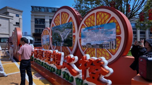 橙就夢想：一幅鄉(xiāng)村振興的“秭歸畫卷”——小橙故事實踐隊探尋臍橙產(chǎn)業(yè)融合發(fā)展的成功模式