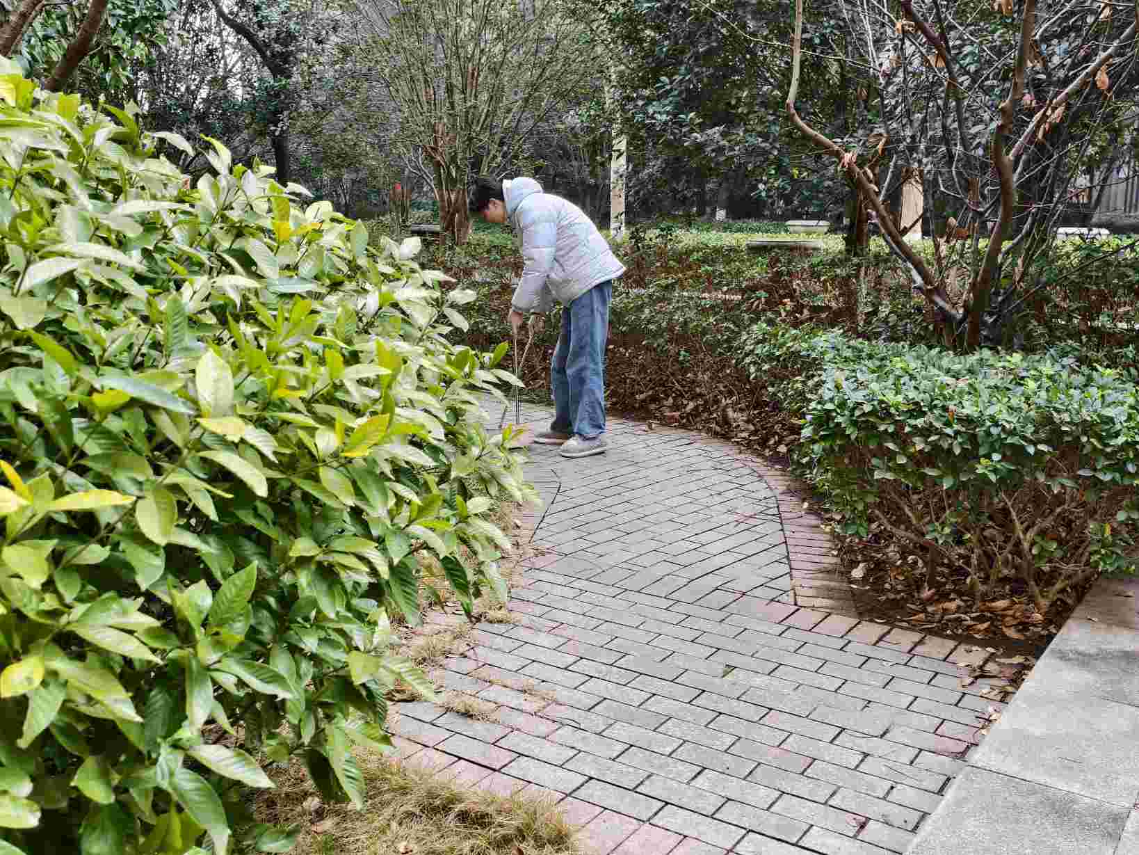 大學(xué)生志愿者春節(jié)接力保潔 守護(hù)社區(qū)潔凈迎新春