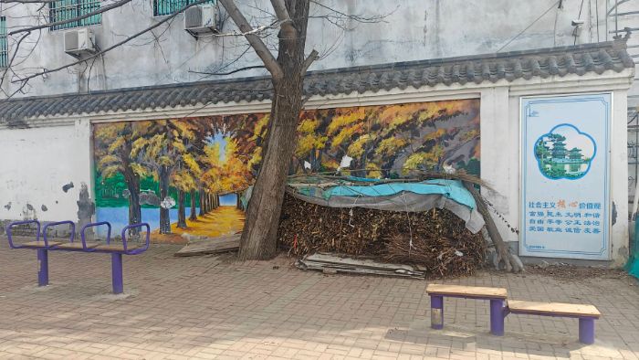 青春助農(nóng)暖鄉(xiāng)梓，淮北師范大學(xué)學(xué)子多措并舉賦能鐵佛鎮(zhèn)鄉(xiāng)村全面振興