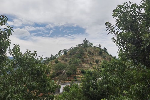 湘大學(xué)子茶庵鋪鎮(zhèn)茶產(chǎn)業(yè)的深度調(diào)研——品優(yōu)茶與大眾茶的風(fēng)味探索