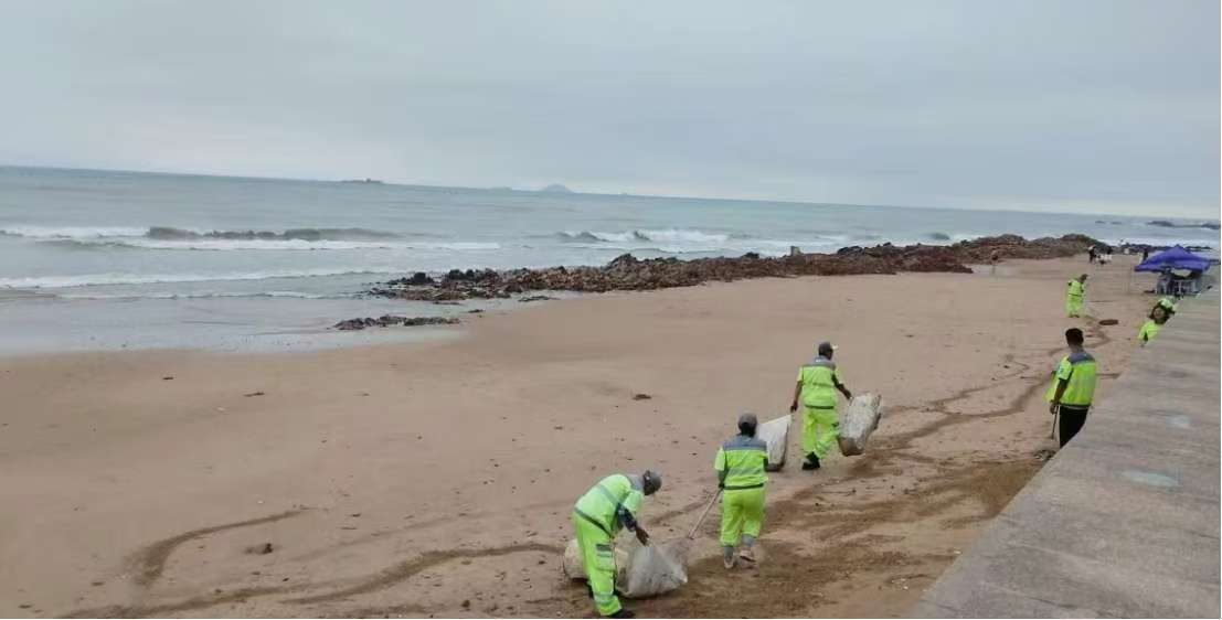 青島你我共生，你我同愛青島 —— 綠色行動組環(huán)境衛(wèi)生調(diào)查紀(jì)實