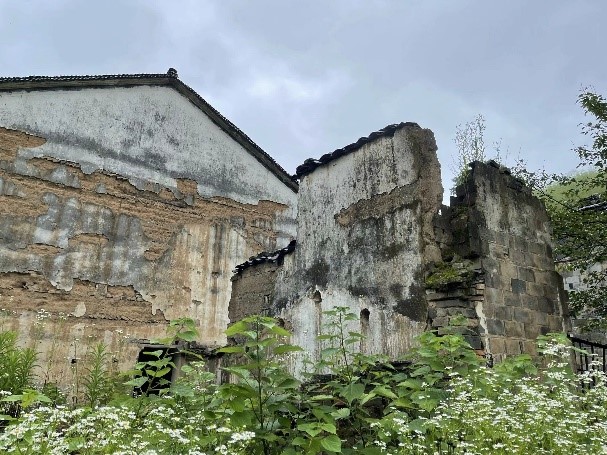 高塢嶺村調(diào)研見聞：規(guī)劃設(shè)計(jì)新思考