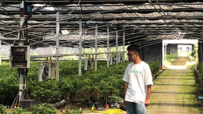 聚焦合作社社員參與困境：紅色引擎調(diào)研團(tuán)赴宿遷可力園林綠化公司探尋破局之道