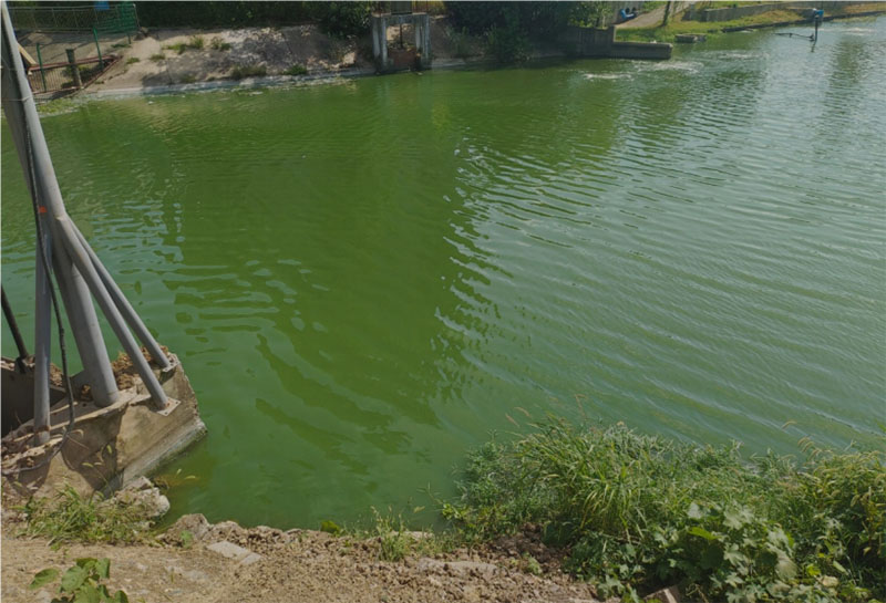 問渠那得清如許，為有源頭活水來——山東大學生命科學學院“虞衡”關(guān)于生