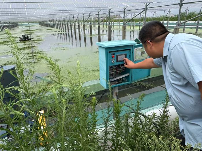 南京林業(yè)大學Eco-eight生態(tài)小隊走訪宜興企業(yè)探尋光伏產(chǎn)業(yè)發(fā)展